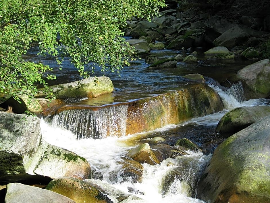 Hotel Srní depandance - Šumava