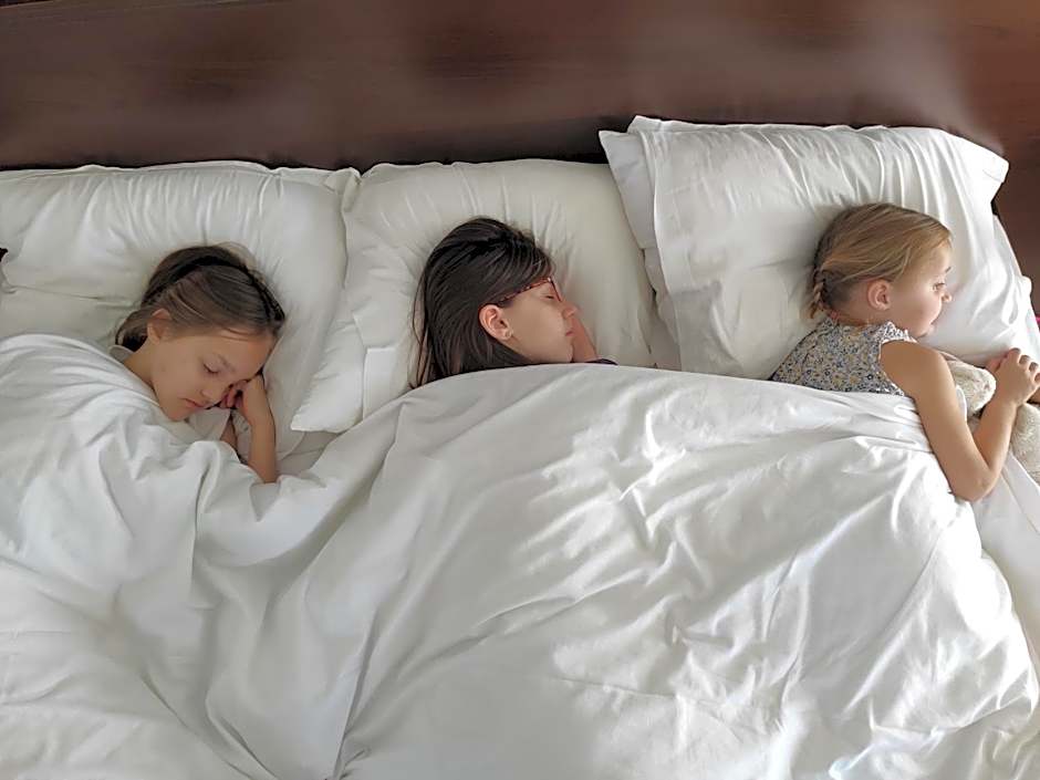 Logis Hotel Le Richelieu - Royan Atlantique