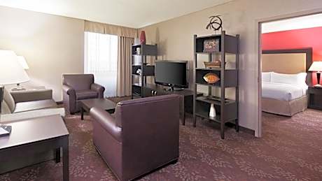 One-Bedroom King Suite with Sofa Bed