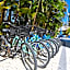 The Inn on Siesta Key