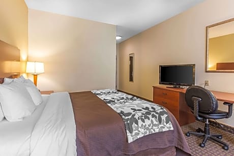 King Room - Accessible/Non-Smoking