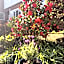 Westbourne Lodge Birmingham