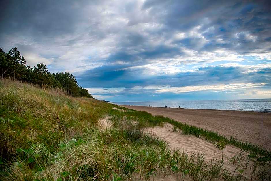 Interferie Dąbki SU Argentyt