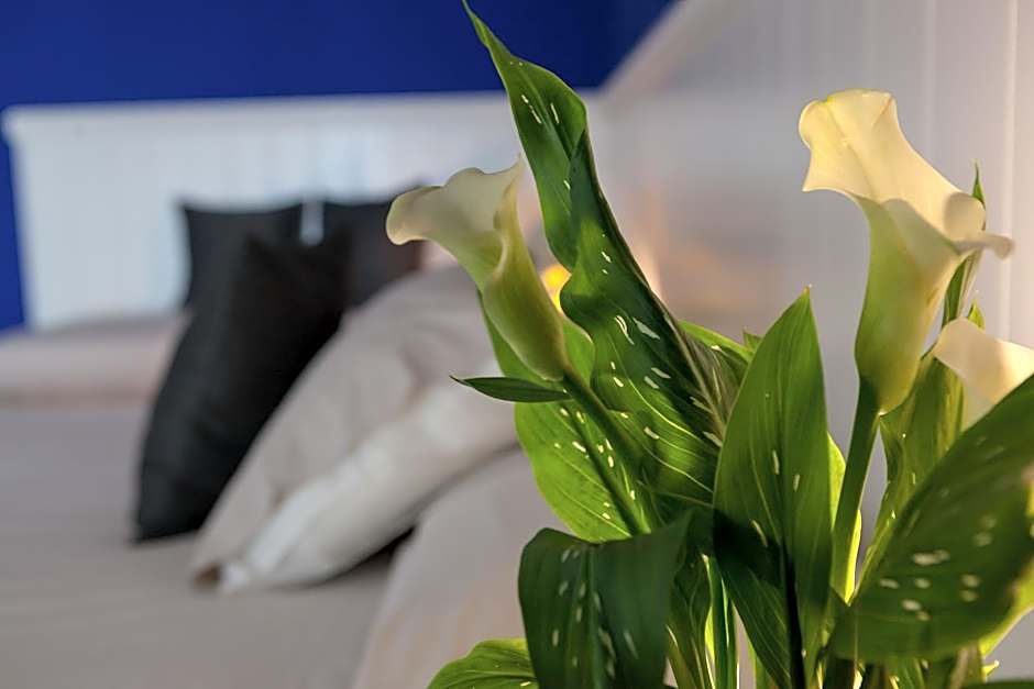 Hotel Maximilian