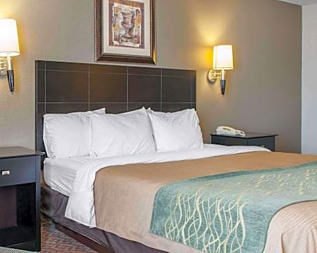 1 King Bed, Nonsmoking