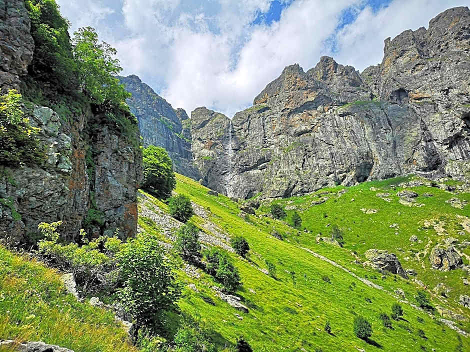 Green Hisar Hotel Family