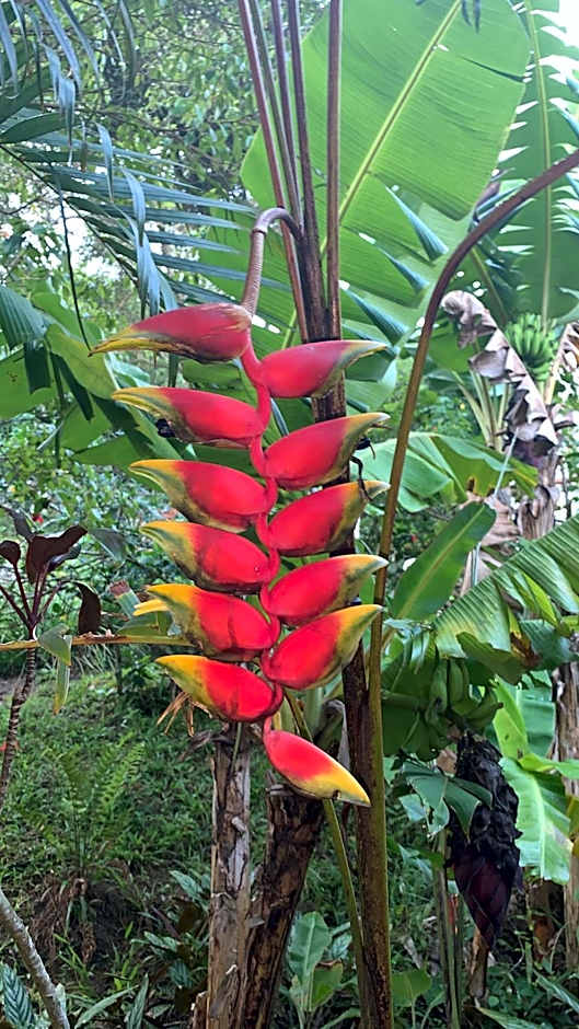 Pousada Moradas da Silveira