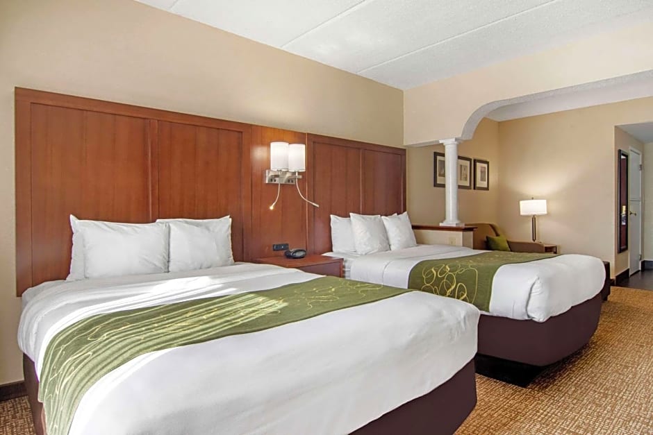 Comfort Suites Woodstock - Atlanta North