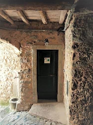 Il volto