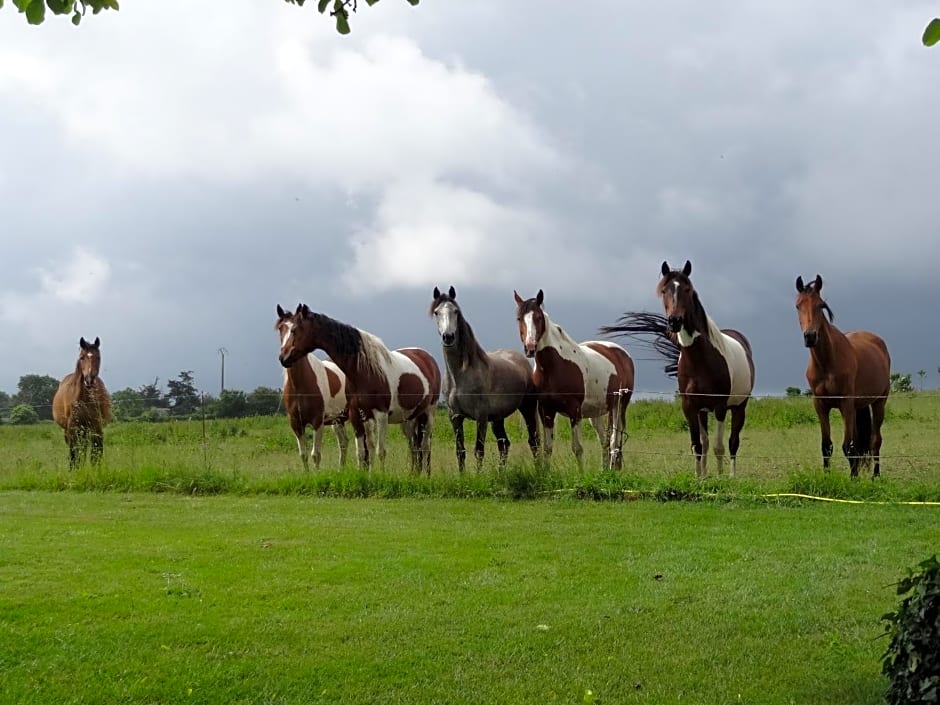 Les chambres du Manoir de Kerhel