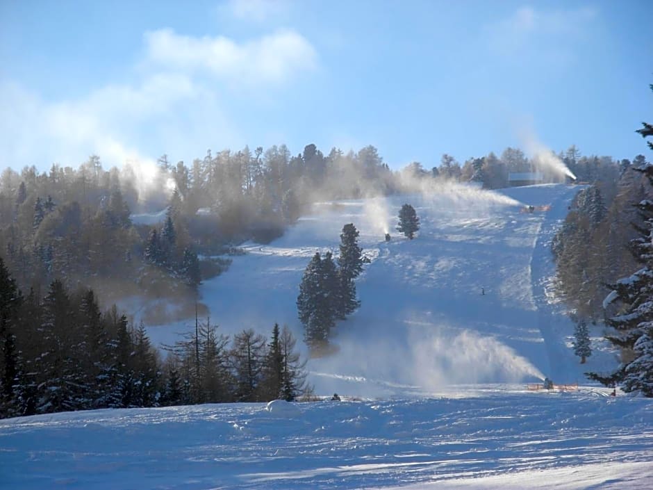 Ferienhütte Hoitahüttl