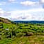 Slate House Lodges