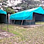 Cactus Eco Camp and Lodge