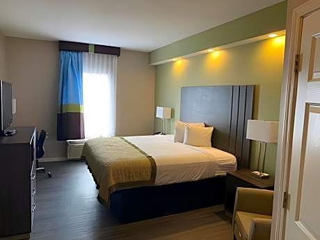 1 King Bed Efficiency Suite Nonsmoking Accessible