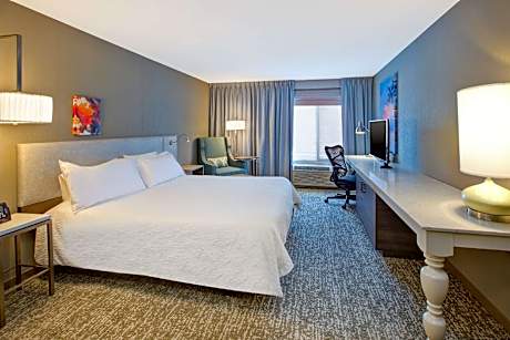 1 King Bed