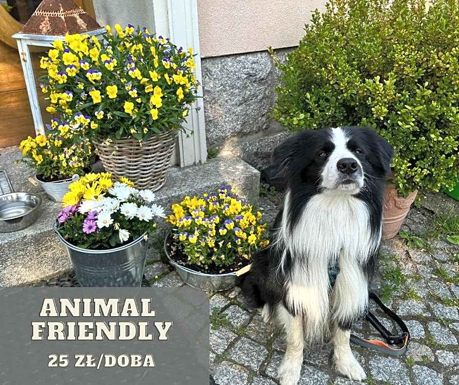 Margo Bukowiec koło Karpacza