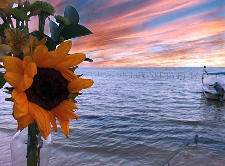 Hotel Luna De Plata Mahahual