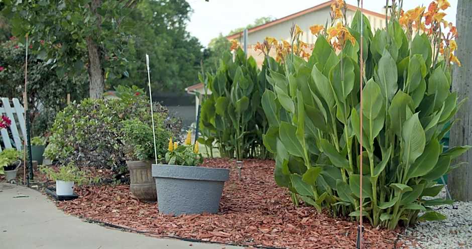 Granbury Gardens Bed and Breakfast
