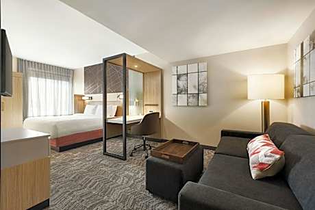 Suite, 1 King, Sofa bed, Trundle bed