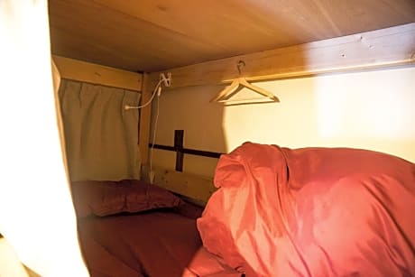 Bunk Bed in Mixed Dormitory Room