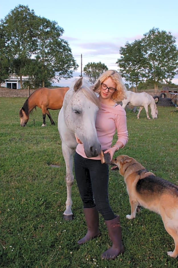 The Little Flock Farm