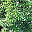 Villa Megna - Green Paradise B&B