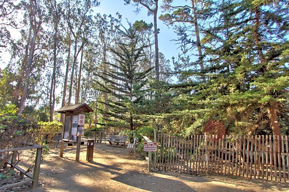 Butterfly Grove Inn