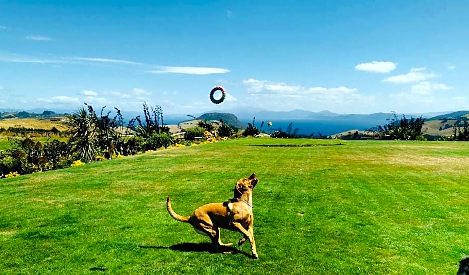 Hilltop Whakaipo Estate