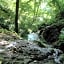 La Cascade de Hauterive