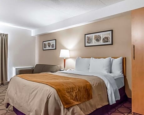 1 Queen Bed, Nonsmoking, Accessible