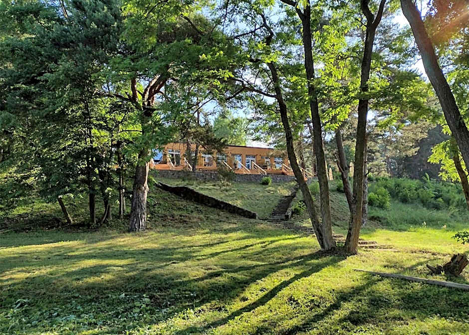 Apartamenty Leśna Przystań