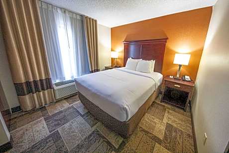 1 Queen Bed, Suite, Nonsmoking
