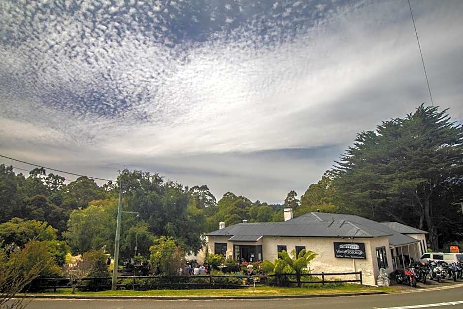 Weldborough Hotel