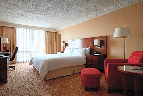 Large, Deluxe Guest room, 1 King