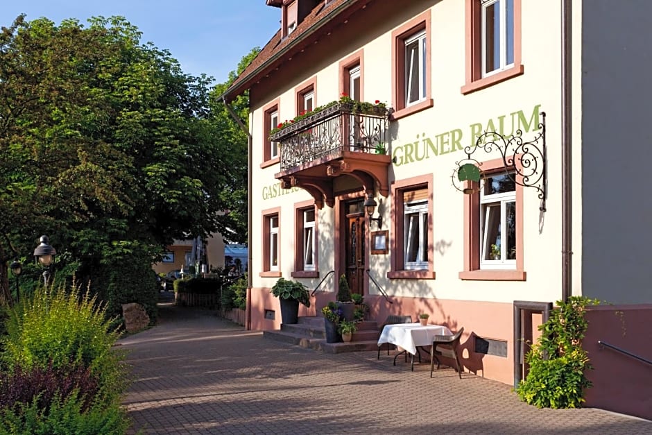Hotel & Restaurant Grüner Baum Merzhausen