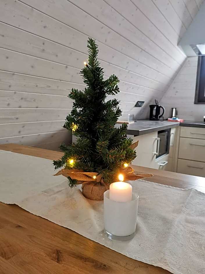 Przystań nad Sanem z widokiem na góry i rzekę