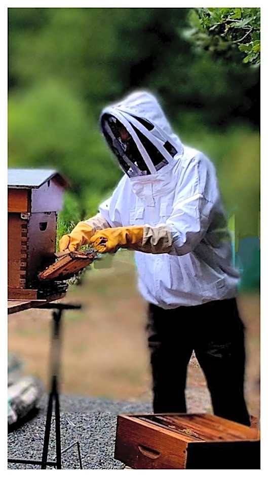 Chambres entre Romorantin-Chambord-Zoo de Beauval - Orée du Bois en Sologne