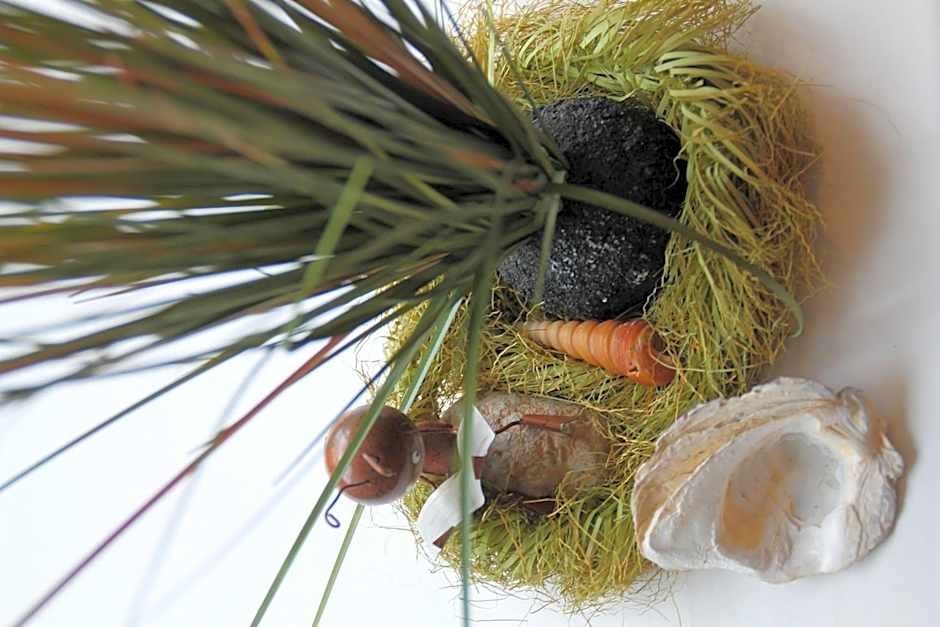 Trip Inn Hotel Zum Riesen Hanau