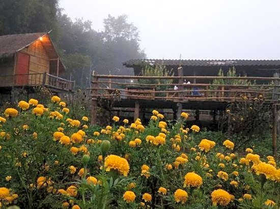 Baan AingDoi Homestay