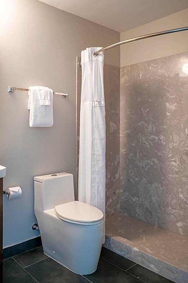 French Quarter Suites Hotel