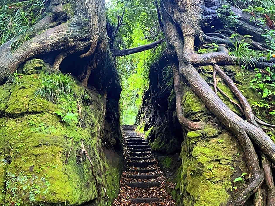 Yuraku Izu-Oshima - Vacation STAY 44742v