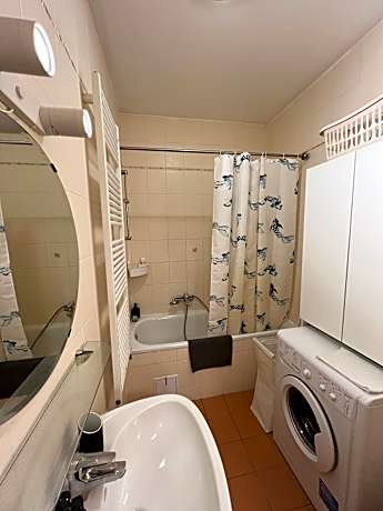 One Bedroom Apartment