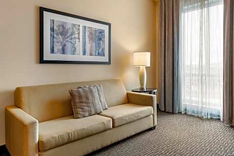 One-Bedroom Queen Suite