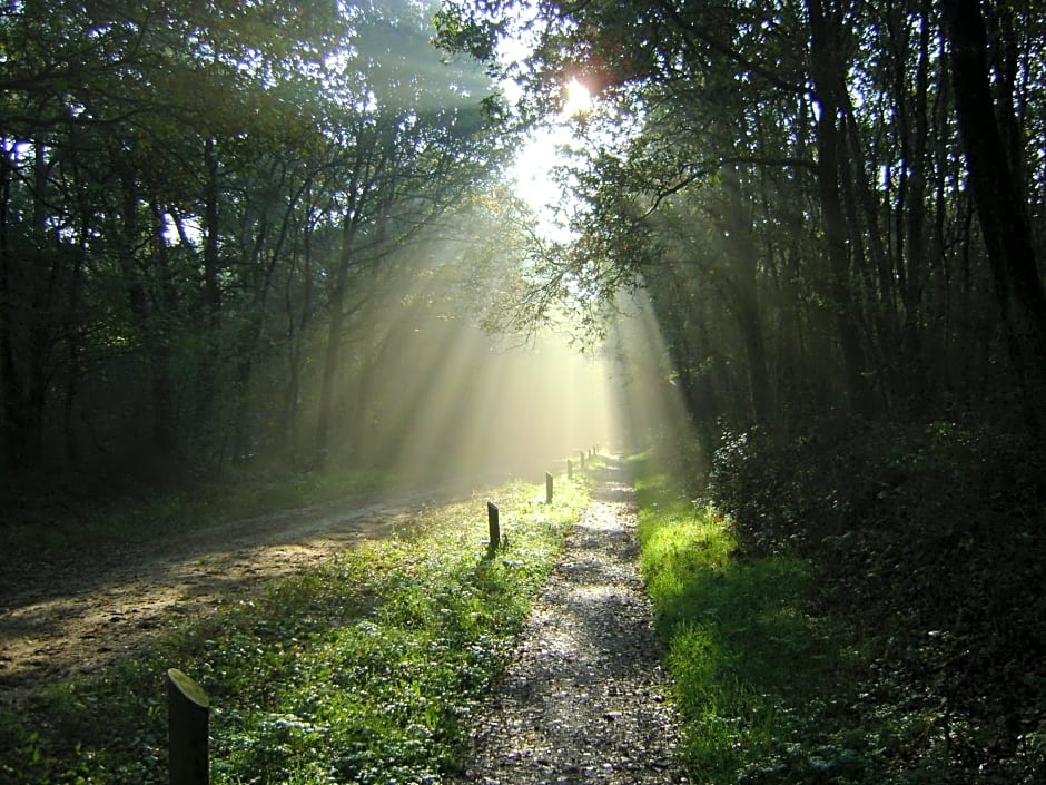 De Wapser Herberg