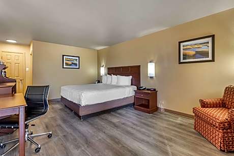KING BED ROOM