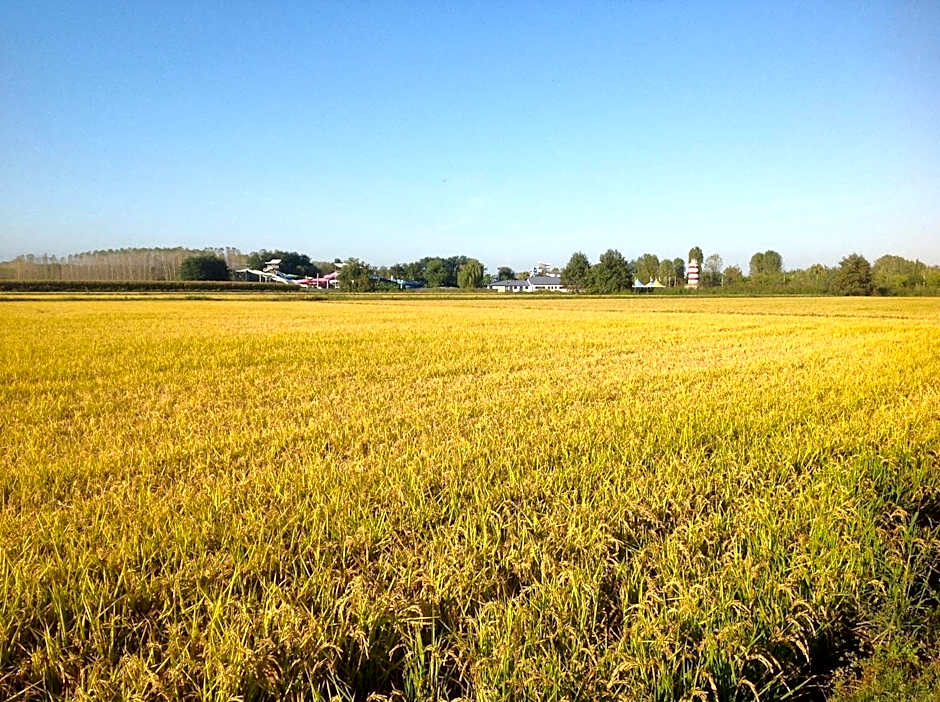 Residence Campagnole