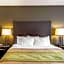 Comfort Inn & Suites Alva