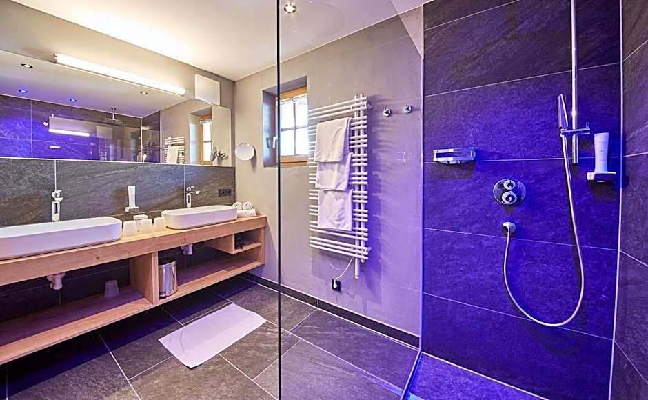 Bauernhof Hotel Oberschwarzach