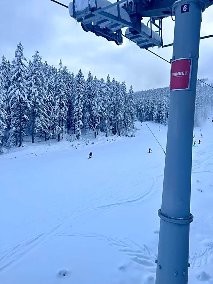 Dimitri Apartament Emerald , near Gondola