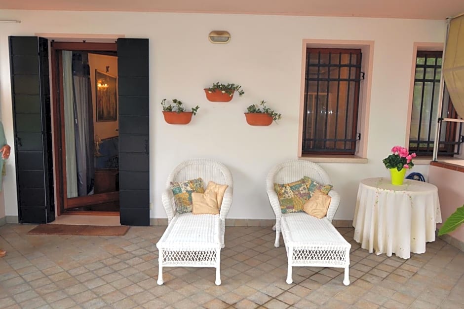 La Casa Sull'Albero
